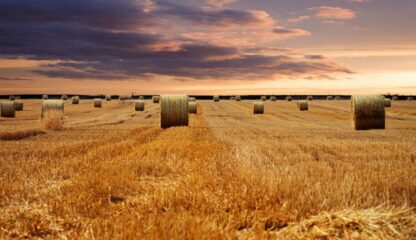 The Benefits of Magnetic Separators in Agriculture